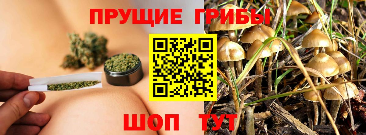 как найти наркотики  Псилоцибиновые грибы Magic Shrooms  Псилоцибиновые грибы MAGIC MUSHROOMS  Вход с VPN  Белово 