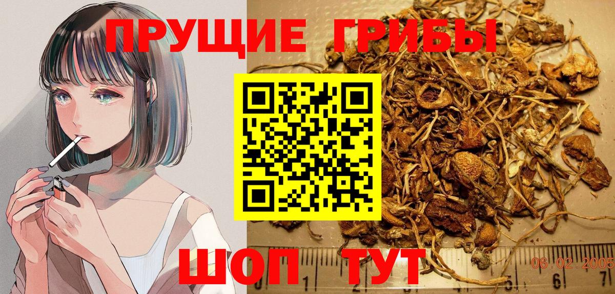 Псилоцибиновые грибы MAGIC MUSHROOMS Белово